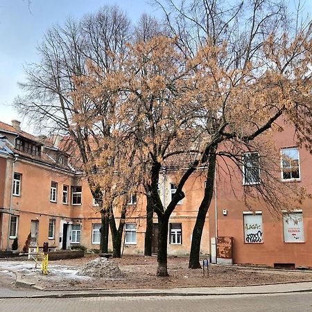 Ferienwohnung Cozy Studio In Heart Of Old Town Wilna Exterior foto