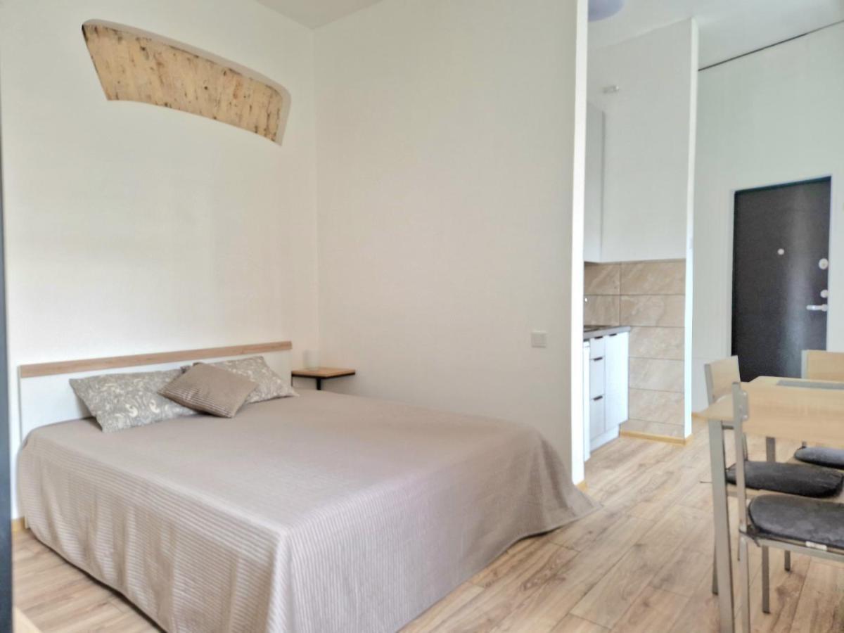 Ferienwohnung Cozy Studio In Heart Of Old Town Wilna Exterior foto