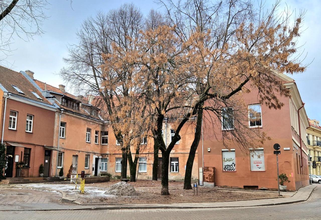 Ferienwohnung Cozy Studio In Heart Of Old Town Wilna Exterior foto